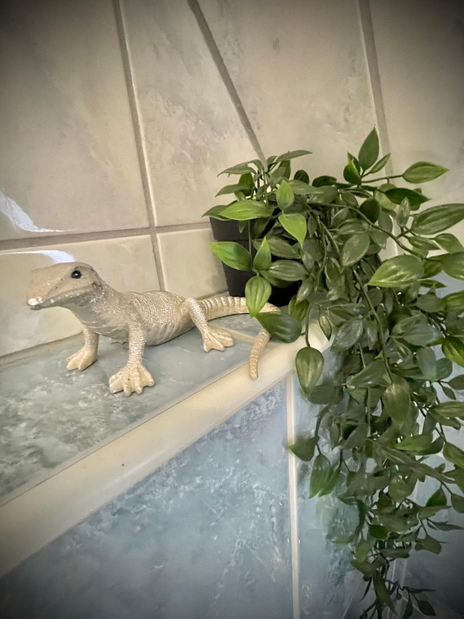 Апартаменты Casa Jungle Glanz Deluxe Зигмаринген Экстерьер фото