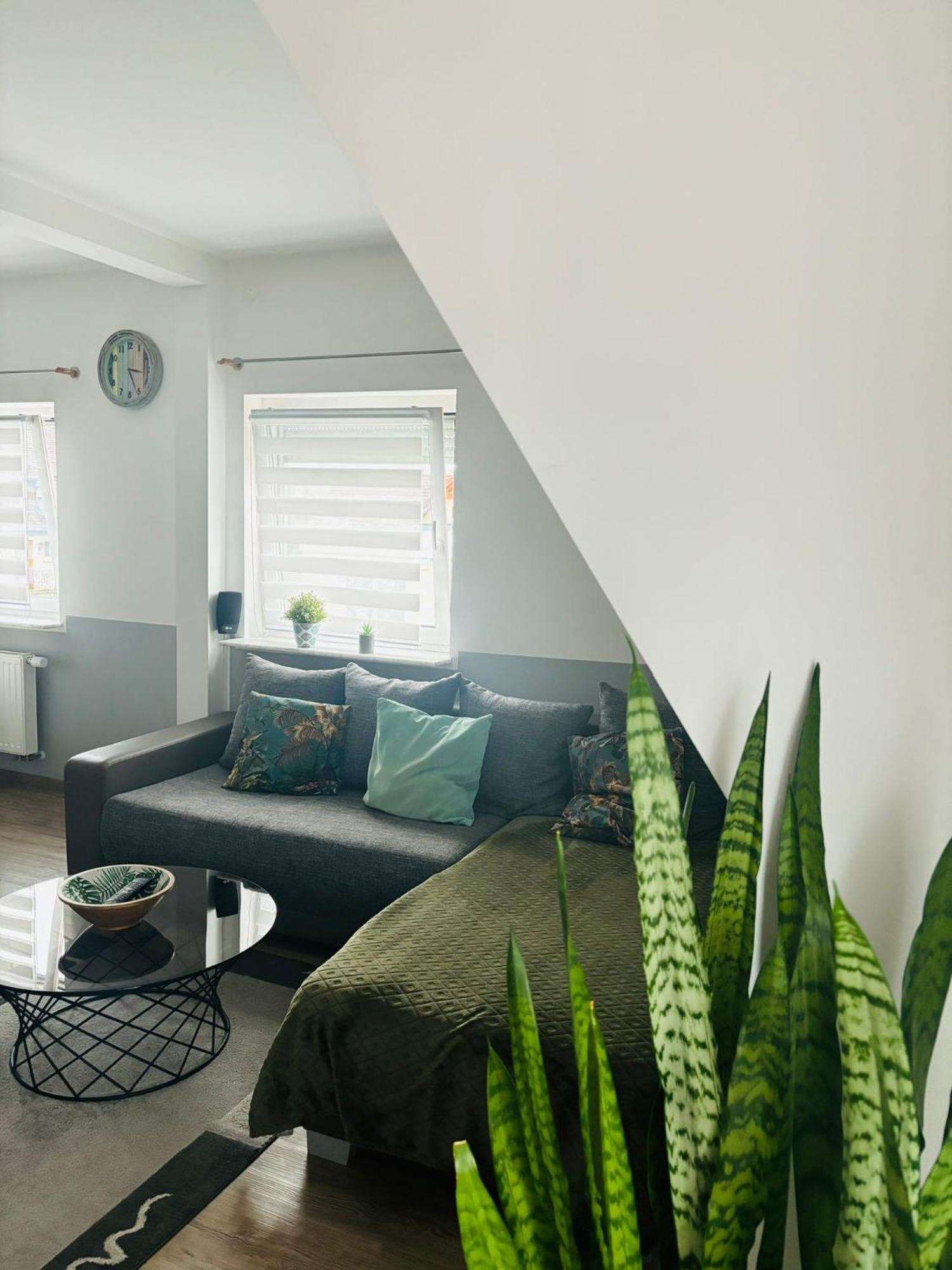 Апартаменты Casa Jungle Glanz Deluxe Зигмаринген Экстерьер фото